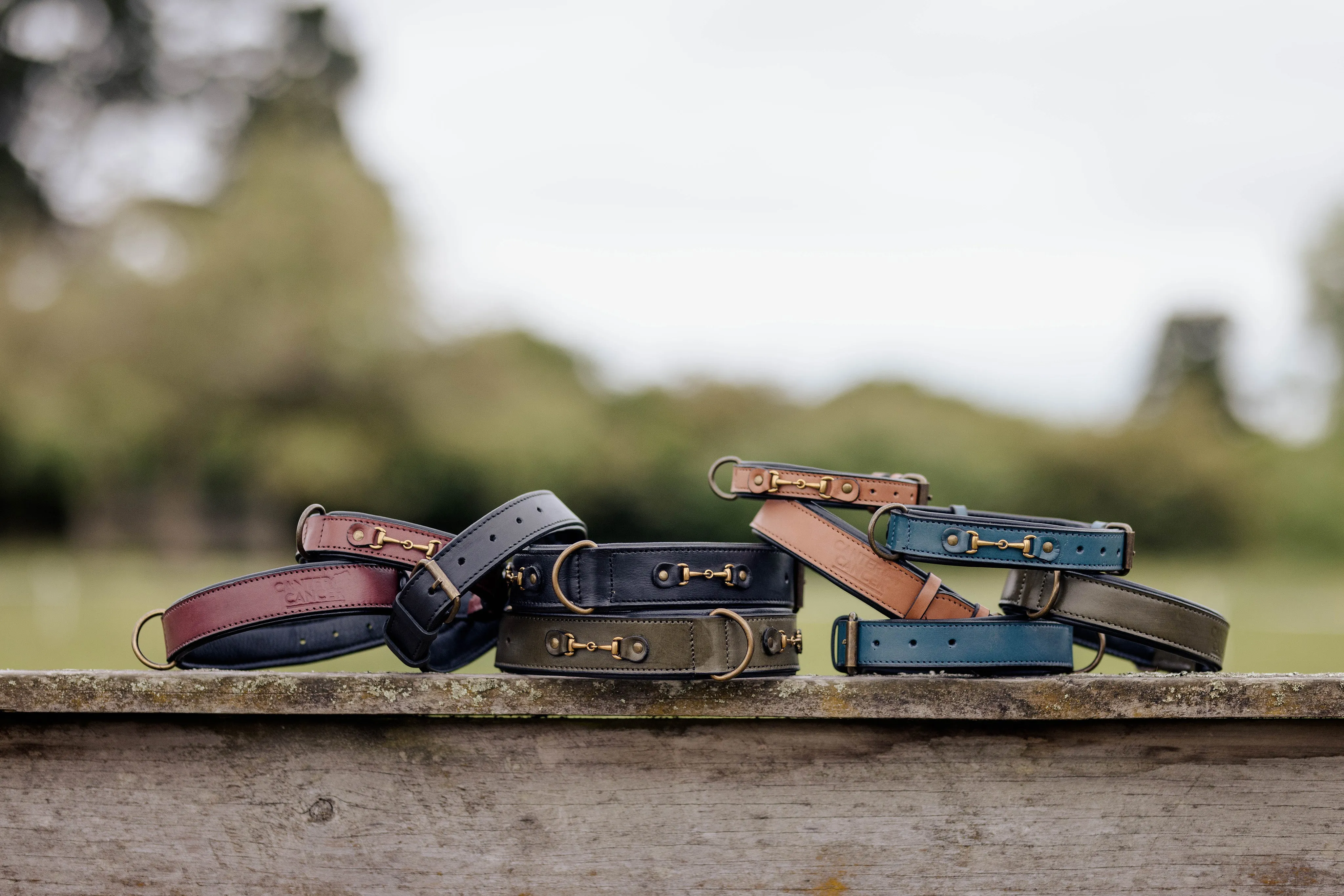 Antique Finish Snaffle Bit Leather Dog Collars