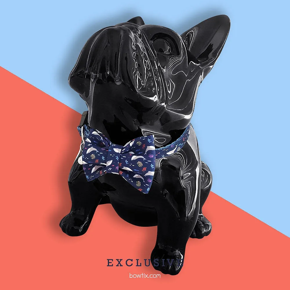 Bowtix Handmade Dog Collar With Removable Bowtie - Seas The Day