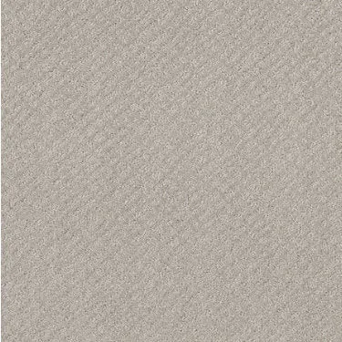 Chic Shades Residential Carpet