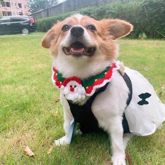 Christmas Knit Bibs