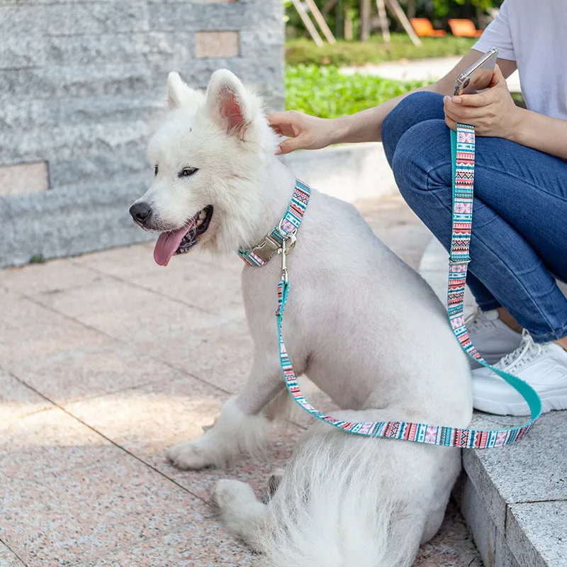 Custom Lettering Dog Collar Print Personality Suit