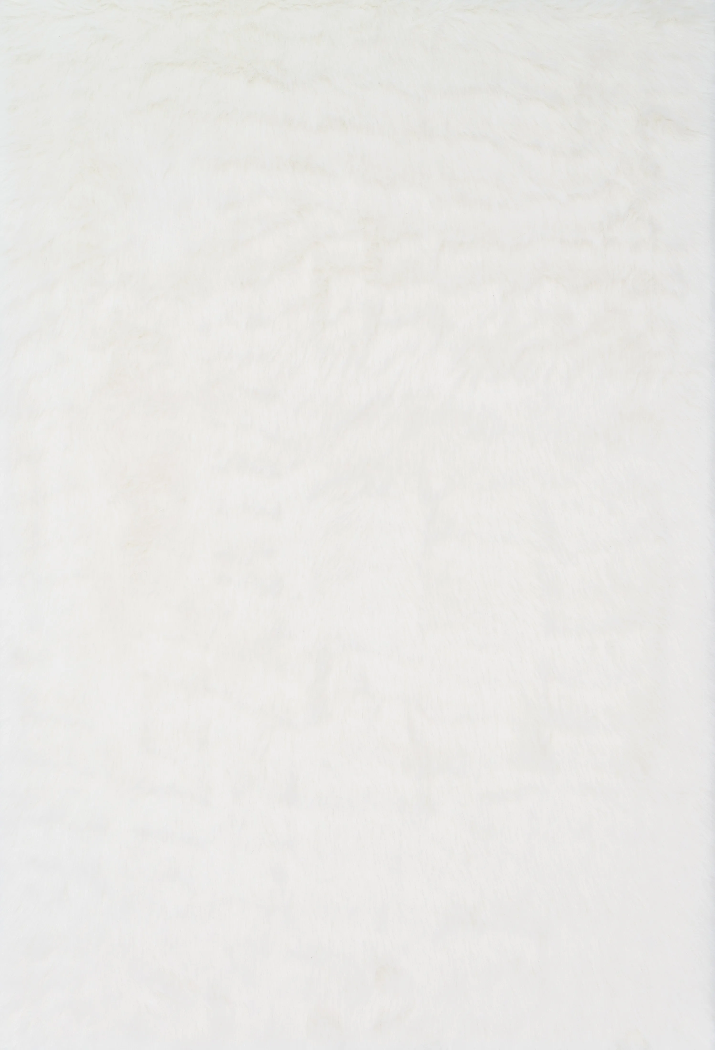 Danso Shag Rug in Ivory