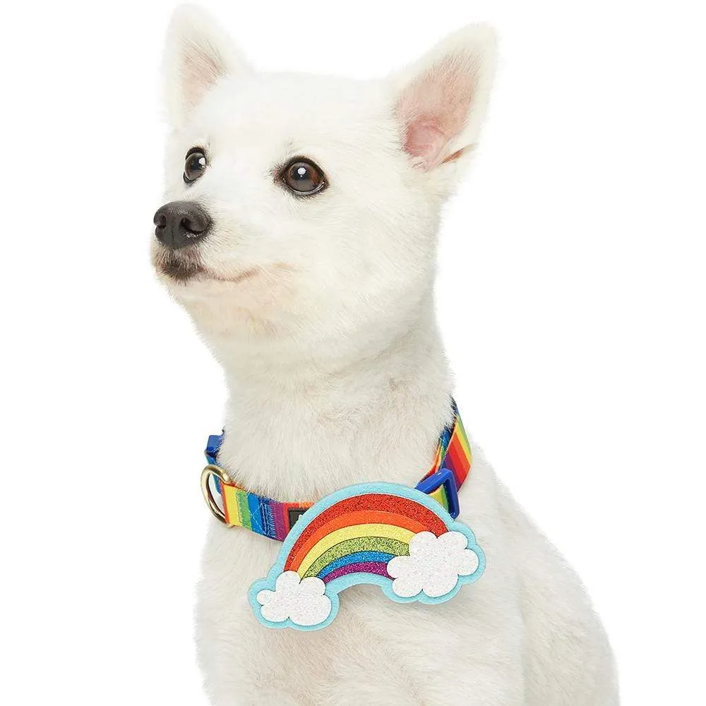 The Perfect Rainbow Dog Collar